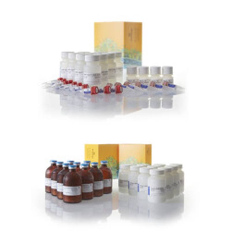 cAMP-Glo(TM) Max Assay, 10 X 20 Plates