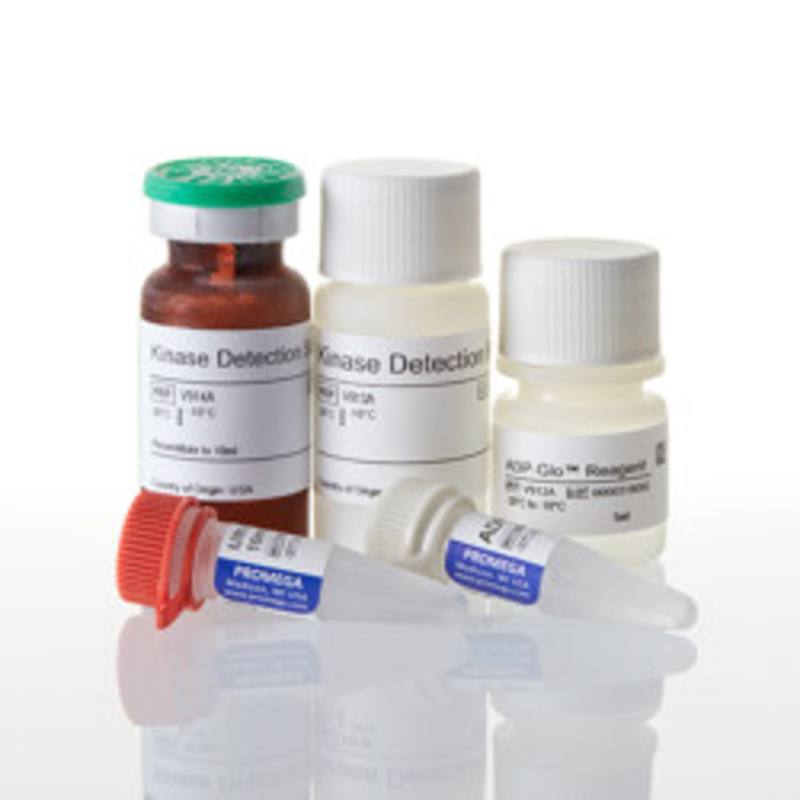 ADP-Glo(TM) Kinase Assay with PIP2:3PS