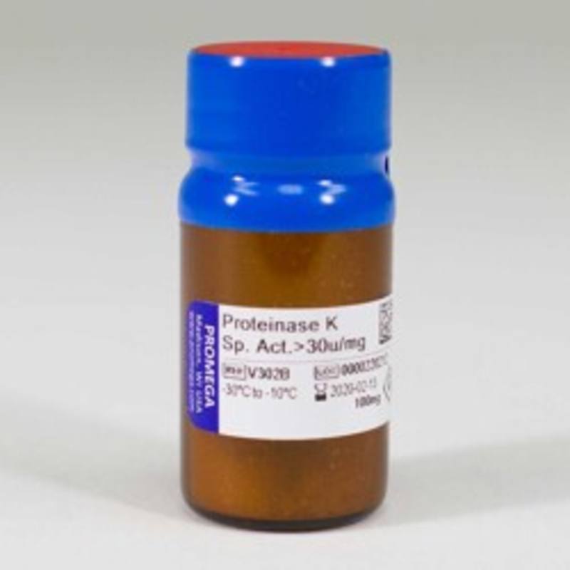Proteinase K, 100mg