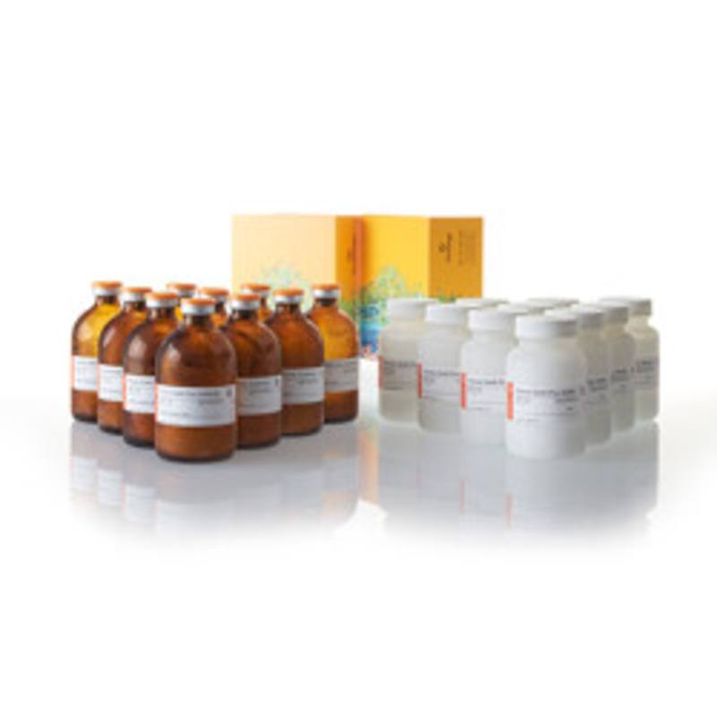 Kinase-Glo(R) Plus Luminescent Kinase Assay 10 x 100ml