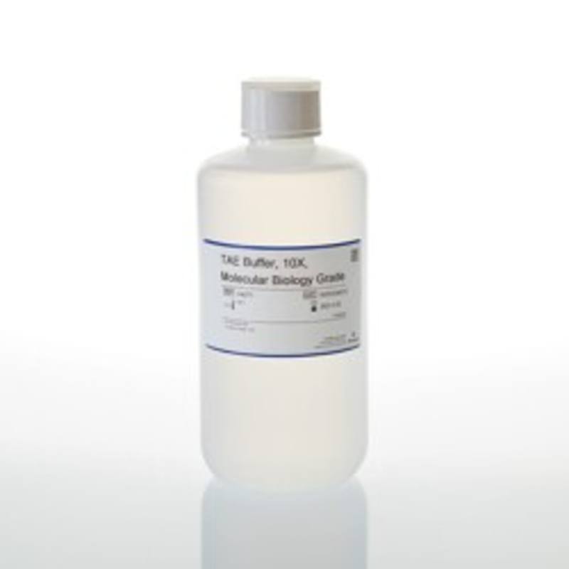 TAE Buffer, 10X, 1000ml