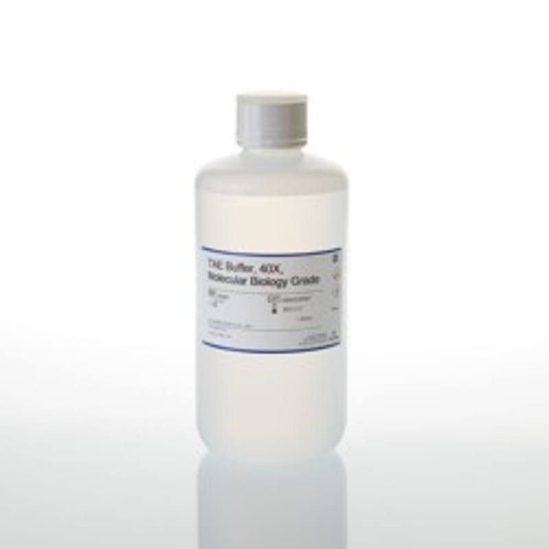 TAE, 40X (Tris-acetate-EDTA), 1000ml