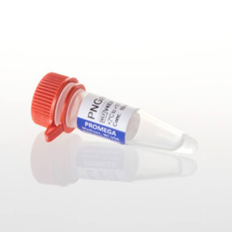 PNGase F