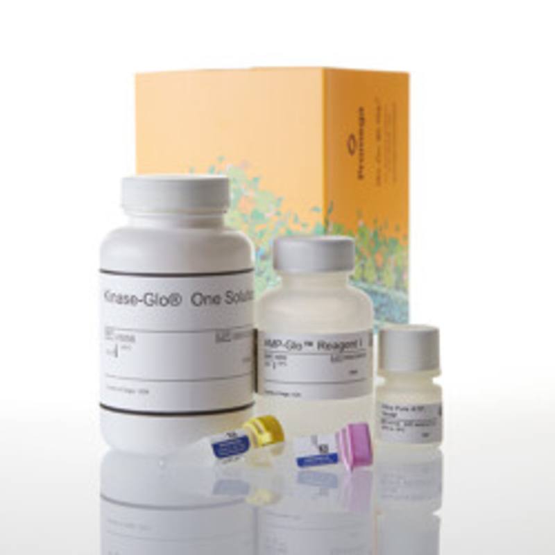 AMP-Glo(TM) Assay, 10,000 Assays