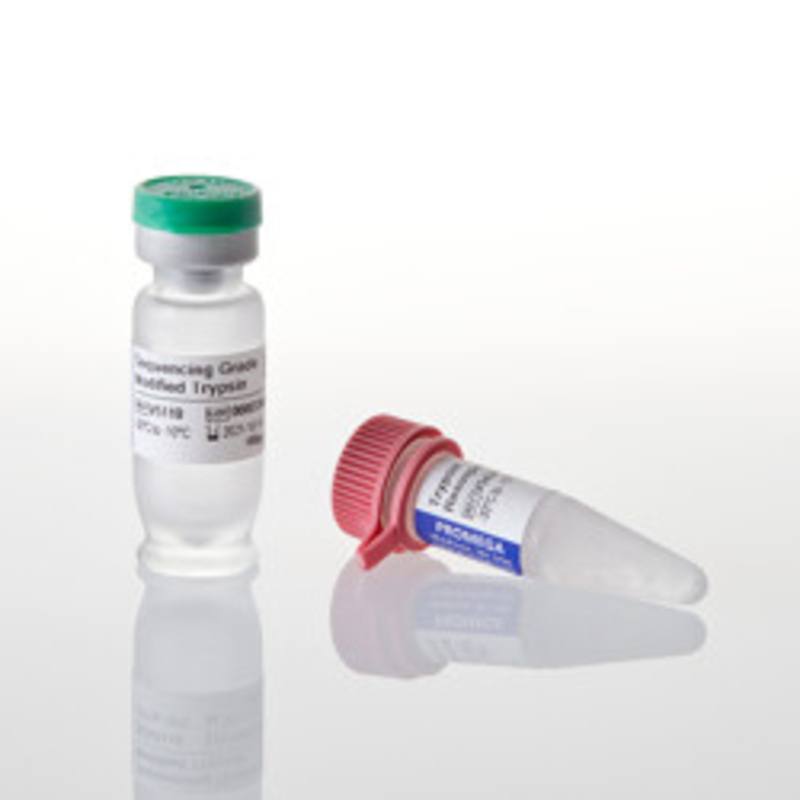 Sequencing Grade Modified Trypsin, 100ug