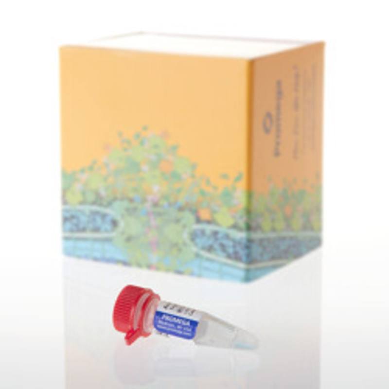 AccuMAP(TM) Modified Trypsin Solution, 120ul