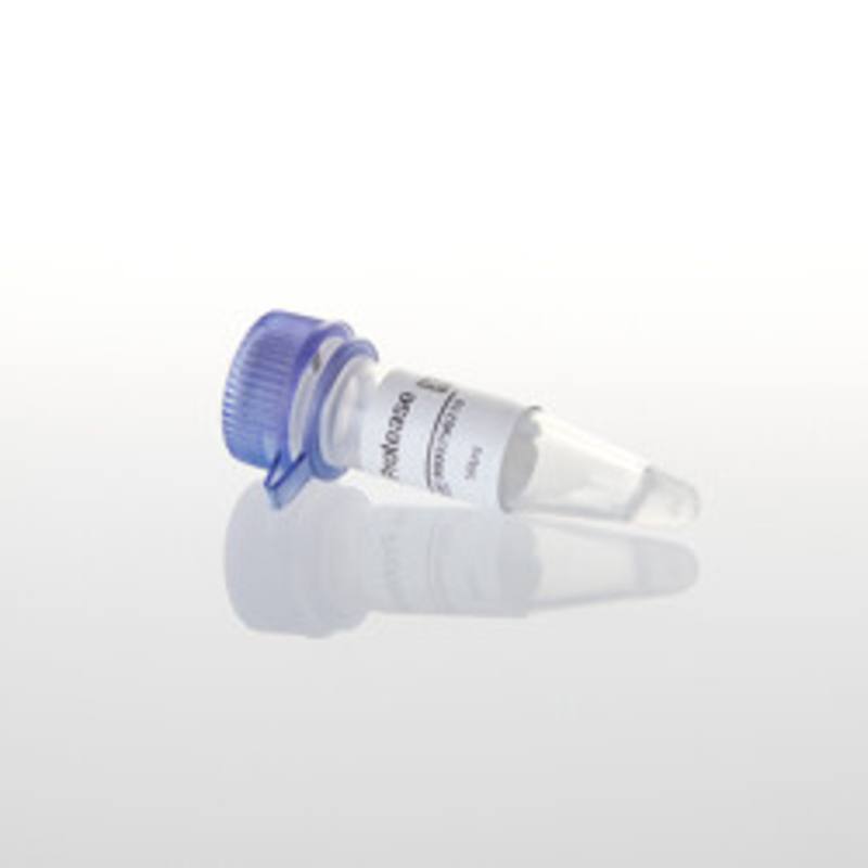Factor Xa Protease, 50ug