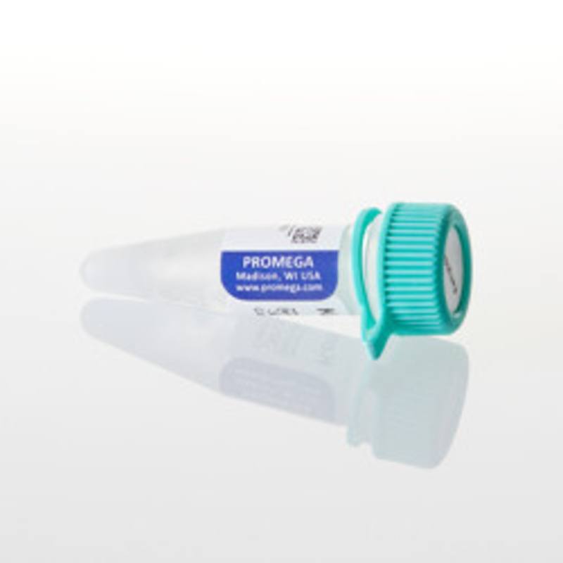 Kemptide (PKA) Peptide Substrate, 1mg