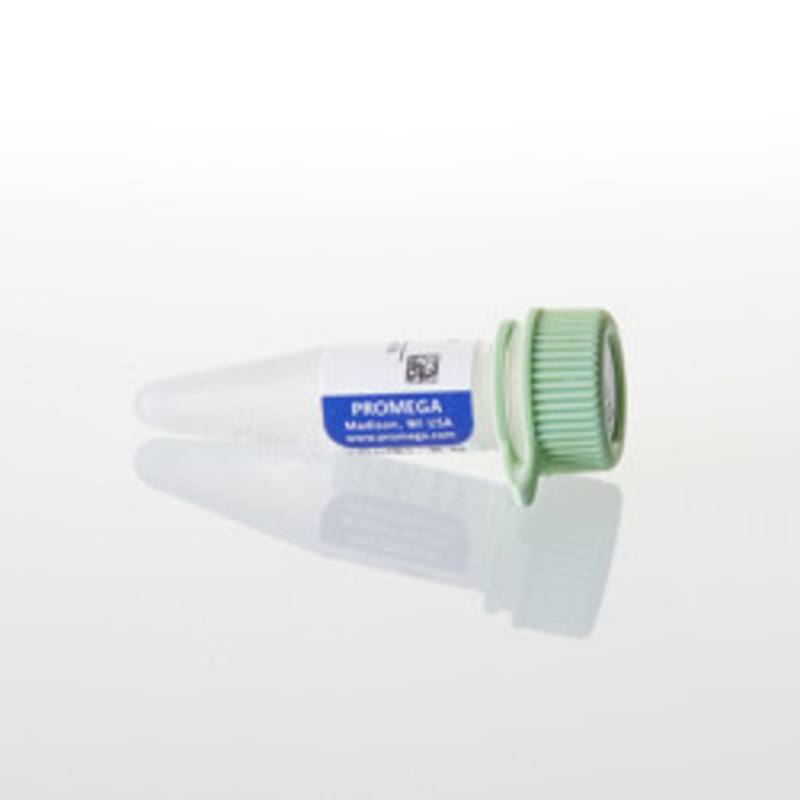 DNA-Dependent Protein Kinase Peptide Substrate, 1mg