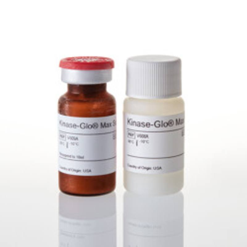 Kinase-Glo(R) Max Luminescent Kinase Assay, 10ml