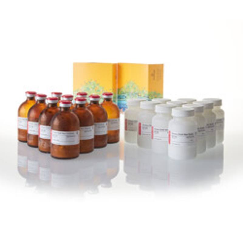 Kinase-Glo(R) Max Luminescent Kinase Assay, 10 x 100ml