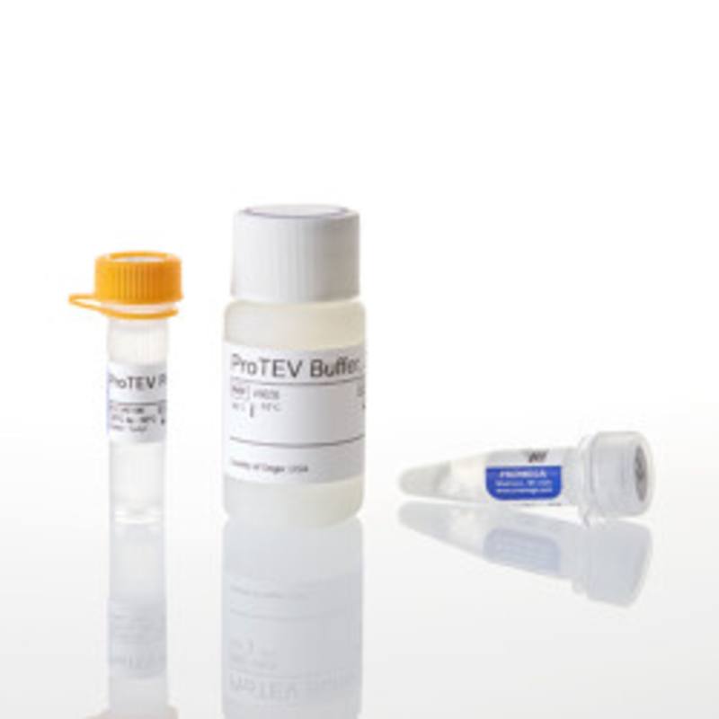 ProTEV Plus, 5u/ul, 8000u