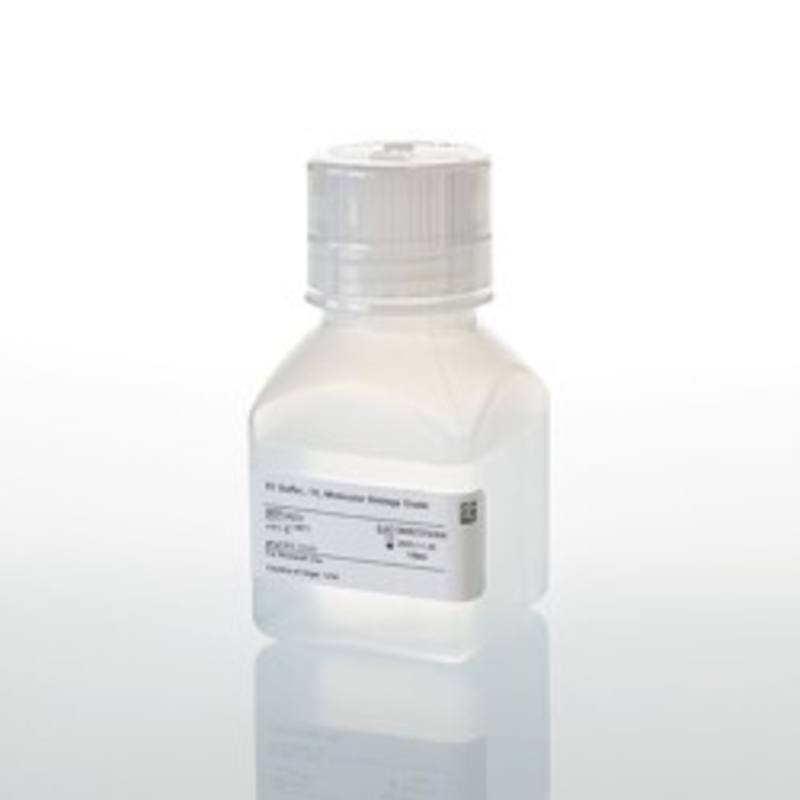 TE Buffer, 1X, 100ml