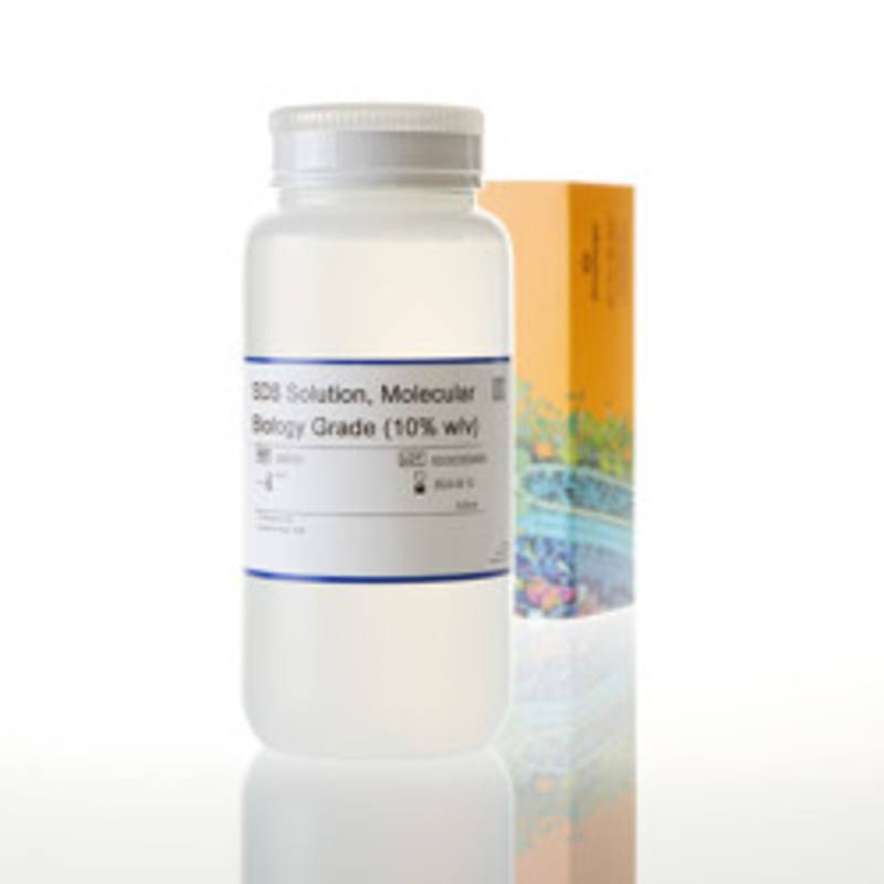 Sodium Dodecyl Sulfate Solution, 500ml