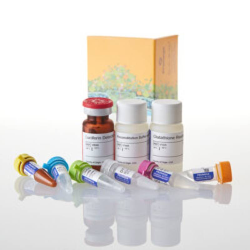 GSH/GSSG-Glo(TM) Assay, 10ml