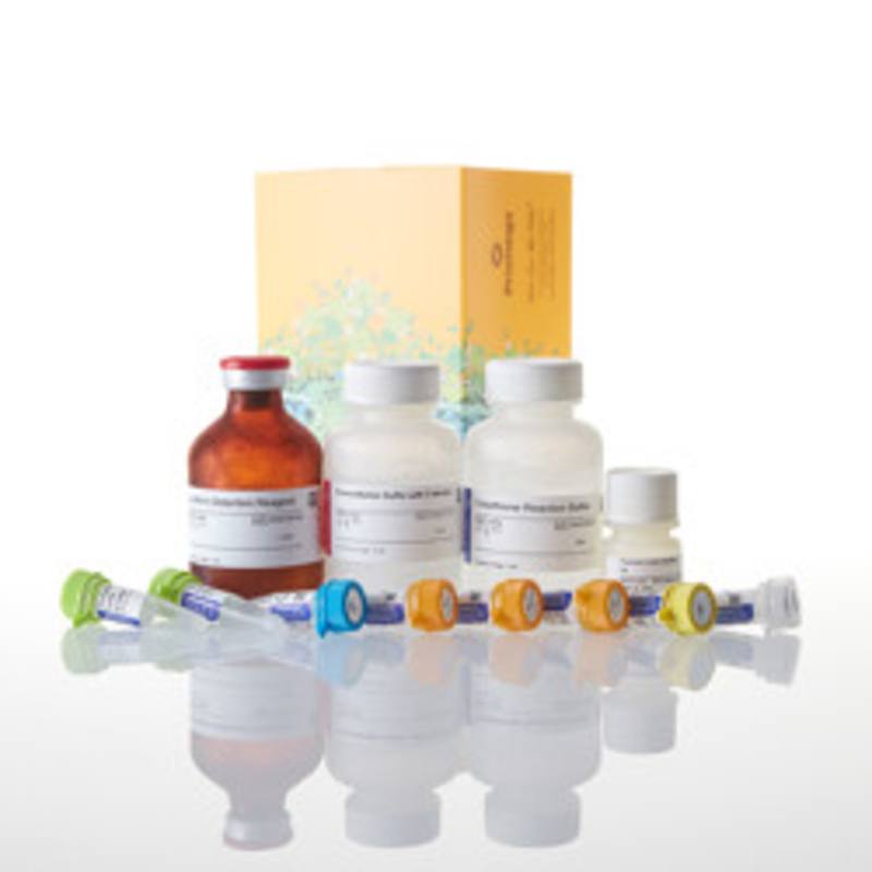 GSH/GSSG-Glo(TM) Assay, 50ml