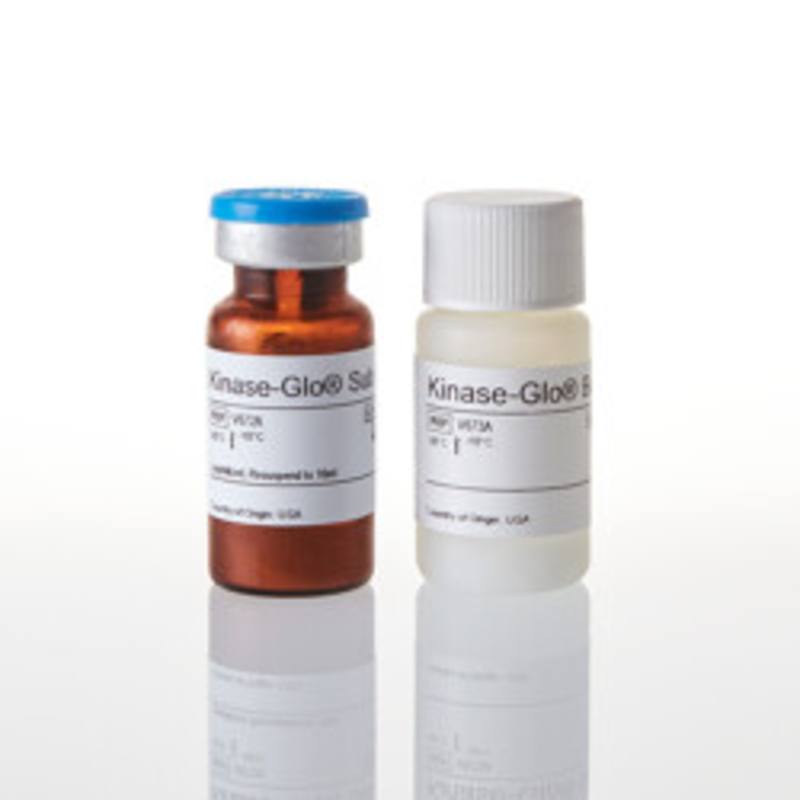 Kinase-Glo(R) Luminescent Kinase Assay, 10ml
