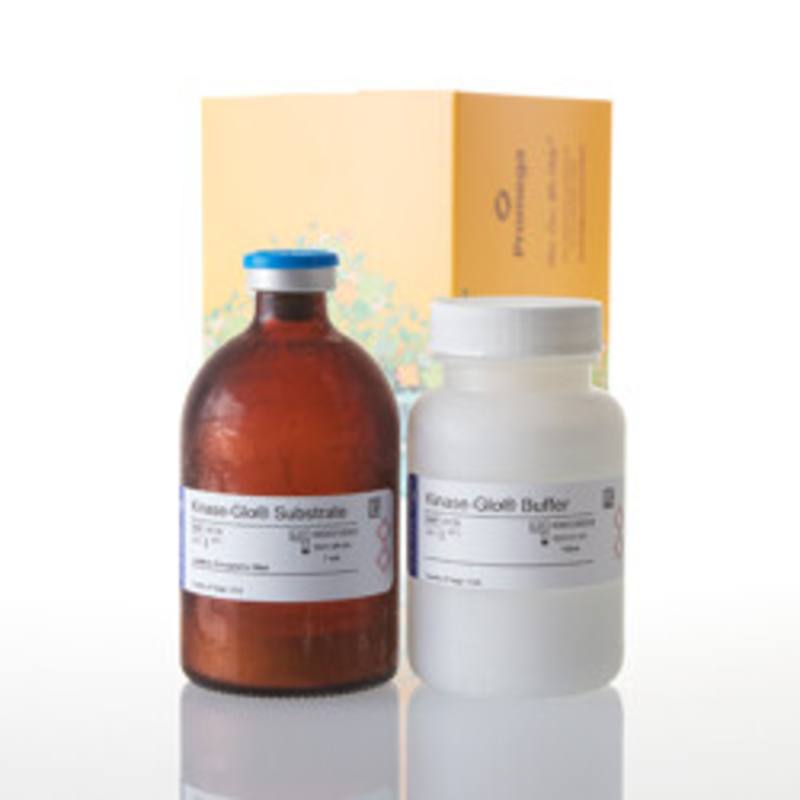 Kinase-Glo(R) Luminescent Kinase Assay, 100ml