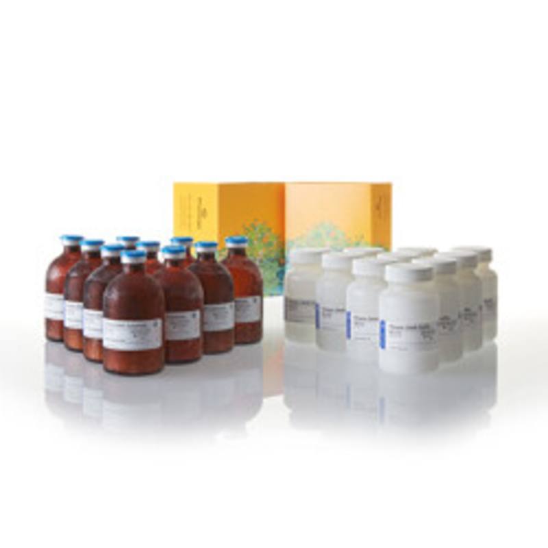 Kinase-Glo(R) Luminescent Kinase Assay, 10 X 100ml