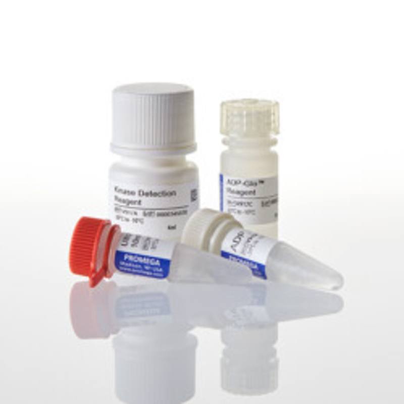 ADP-Glo(TM) Kinase Assay, 400 Assays