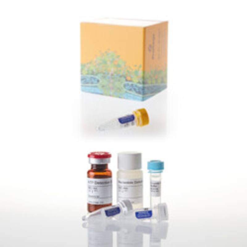 UDP-Glo(TM) Glycosyltransferase Assay, 200 Assays + UDP-Glc