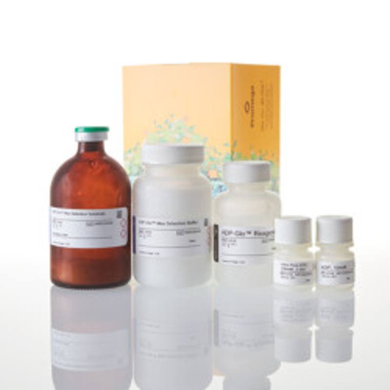ADP-Glo(TM) Max Assay, 10,000 Assays