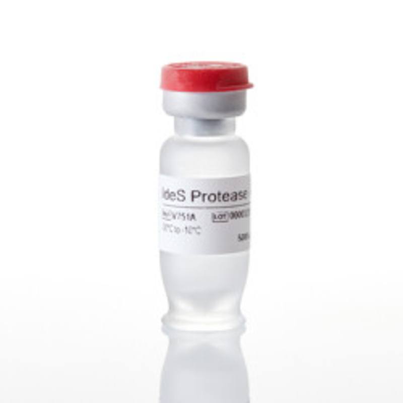 IdeS Protease, 5000U