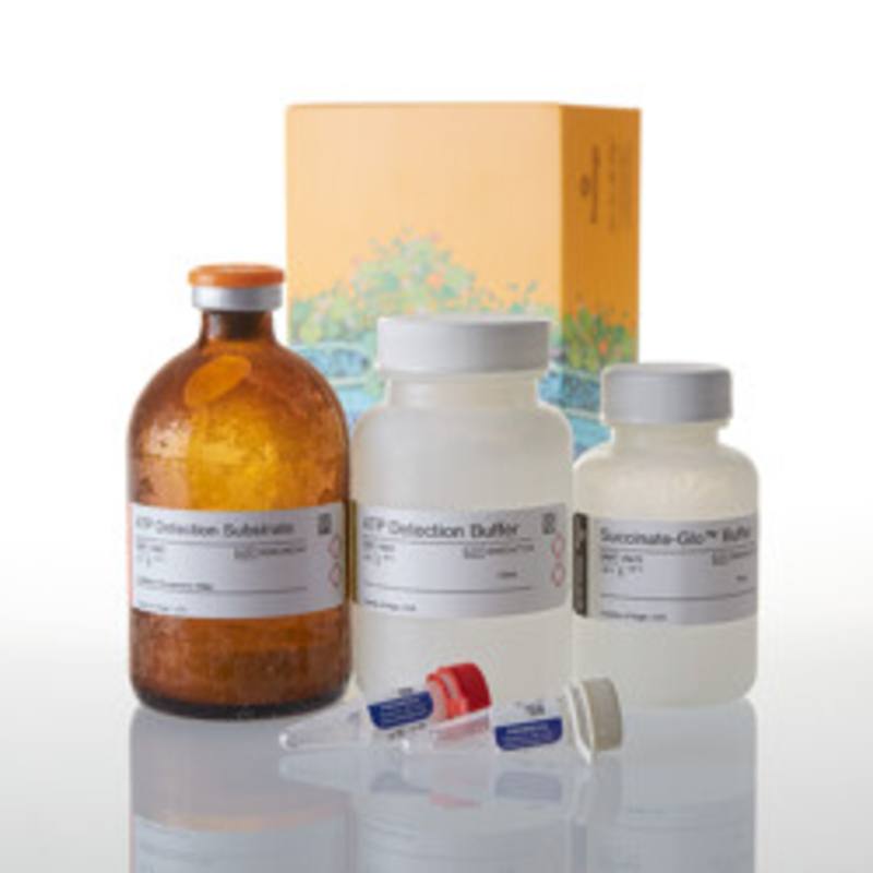 Succinate-Glo(TM) JmjC Demeth/Hydro Assay, 10,000 assays