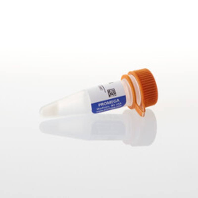 Donkey Anti-Goat IgG HRP, 60ul