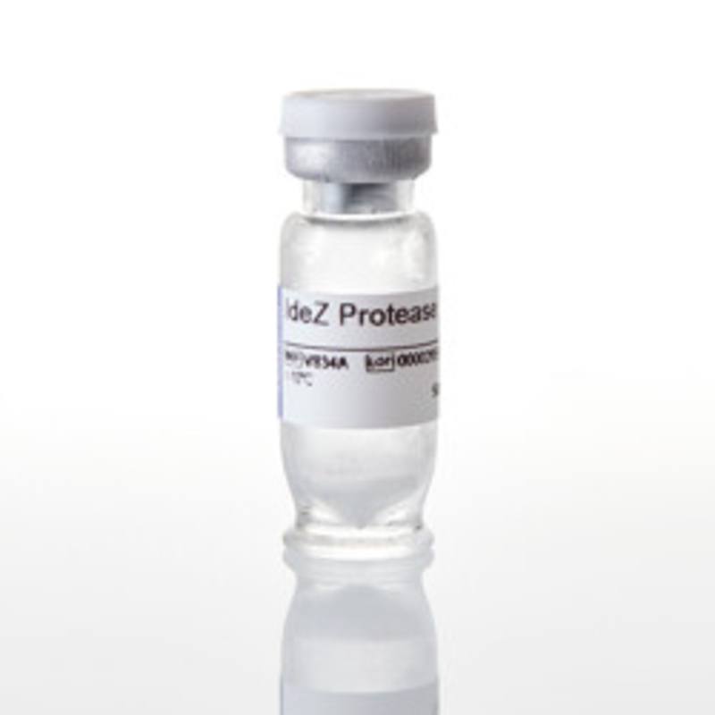IdeZ Protease, 5000U