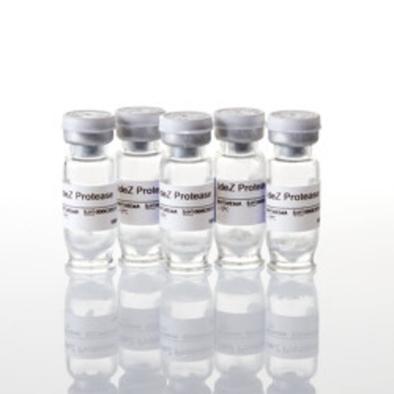 IdeZ Protease, 25000U