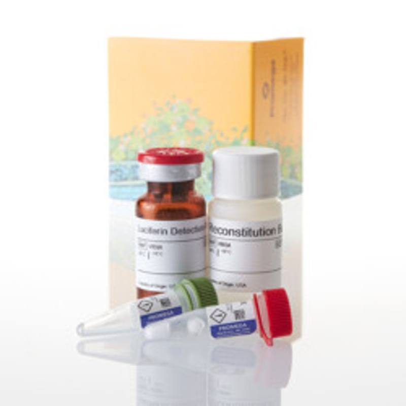 P450-Glo(TM) CYP1A2 Induction/ Inhibition Assay, 10ml