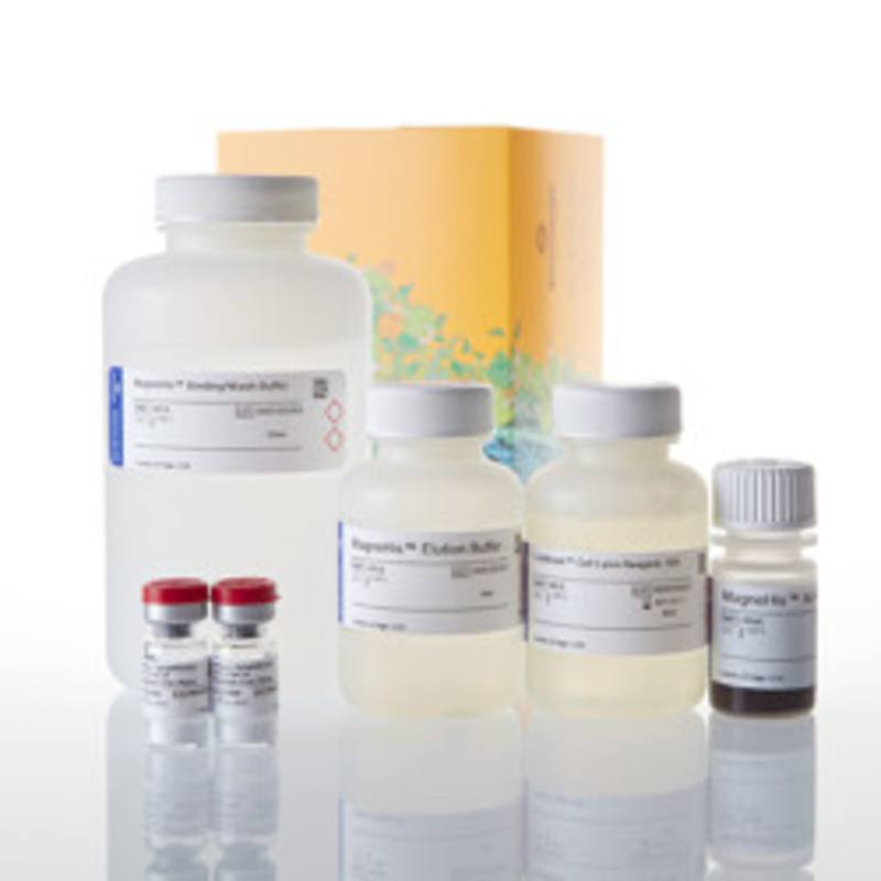 MagneHis(TM) Protein Purification System, 10ml