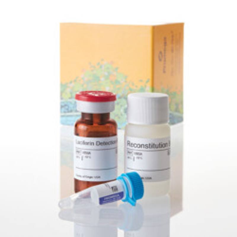 P450-Glo(TM) CYP1B1 Assay, 10ml