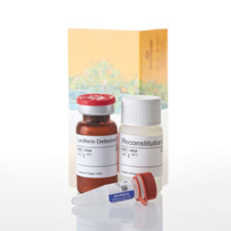 P450-Glo(TM) CYP2C8 Assay, 10ml
