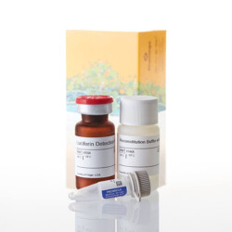P450-Glo(TM) CYP2D6 Assay 10ml