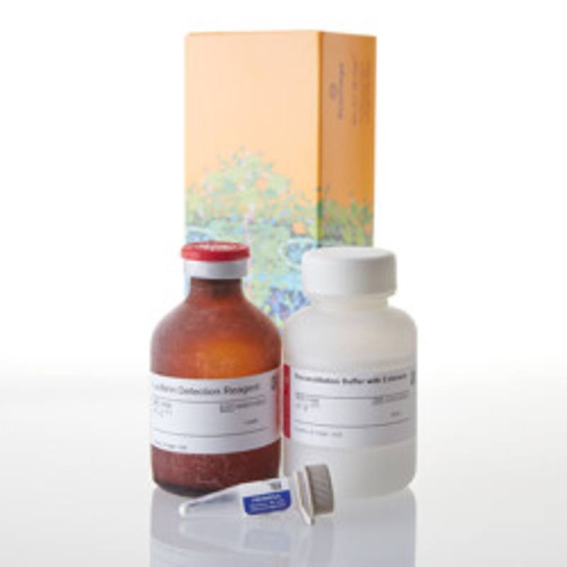 P450-Glo(TM) CYP2D6 Assay 50ml