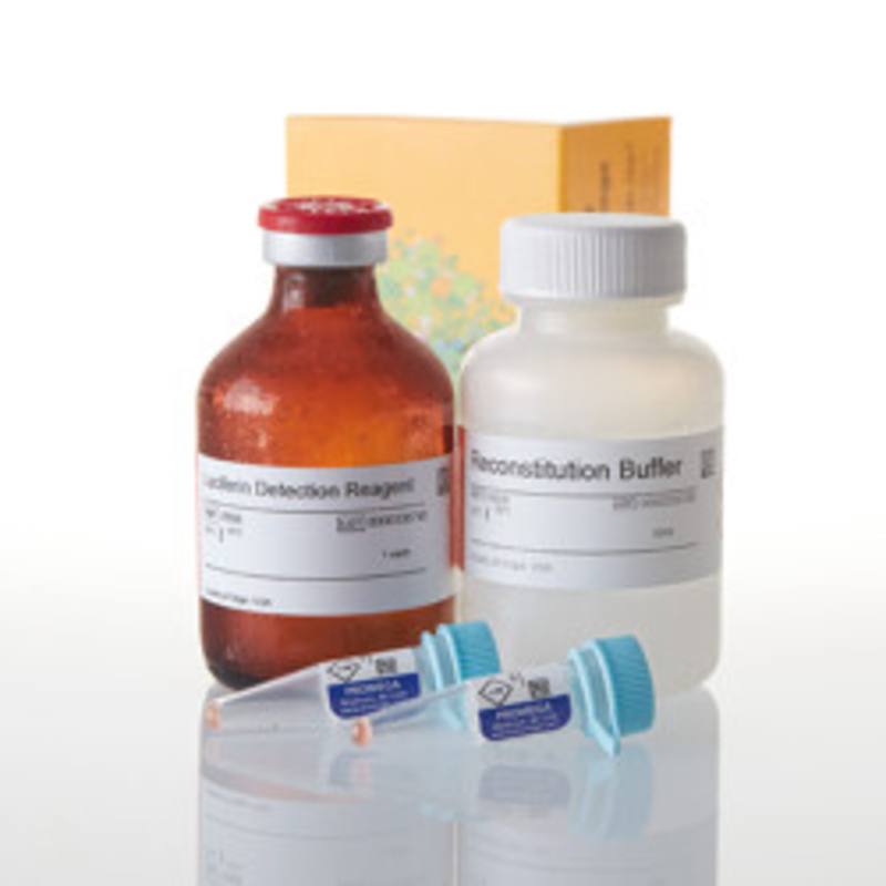 P450-Glo(TM) CYP3A4 Assay with Luciferin PPXE, 50ml
