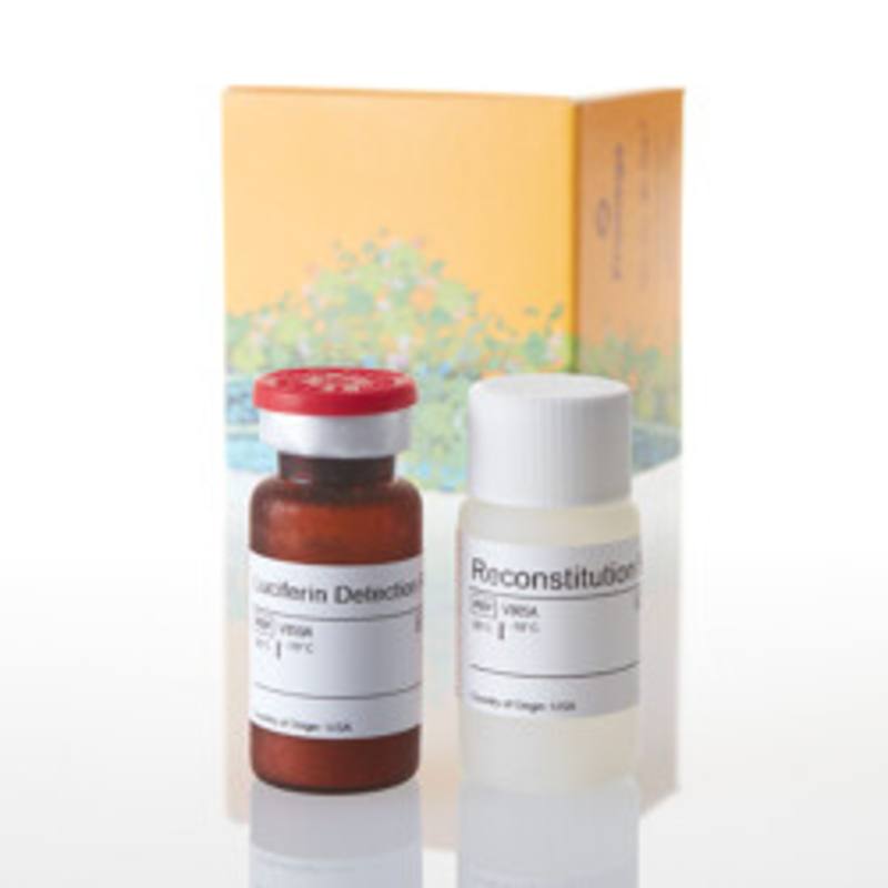 Luciferin Detection Reagent, 10ml