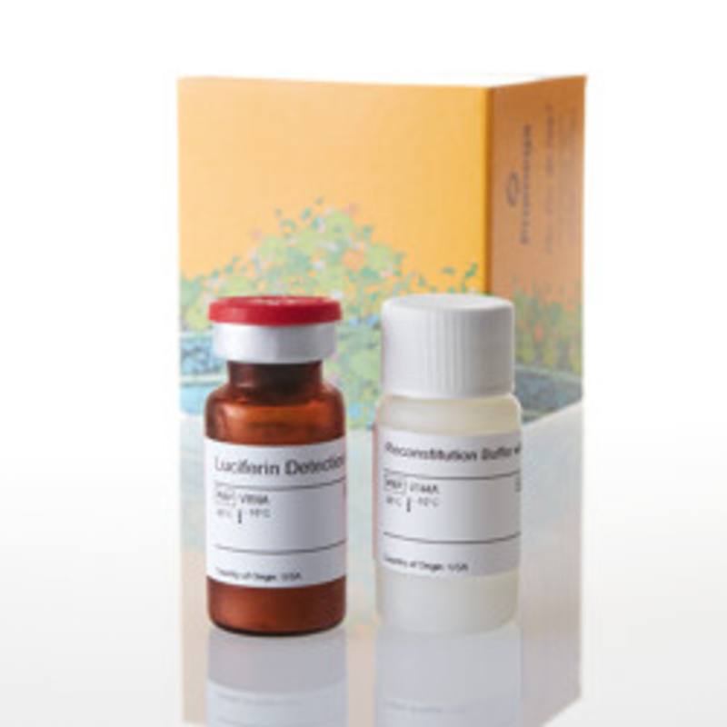 Luciferin Detection Reagent, with esterase, 10ml