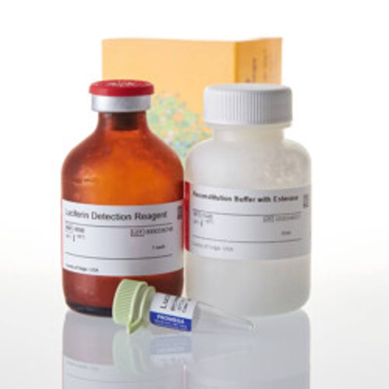 P450-Glo(TM) CYP3A4 Assay with Luciferin-IPA, 50ml