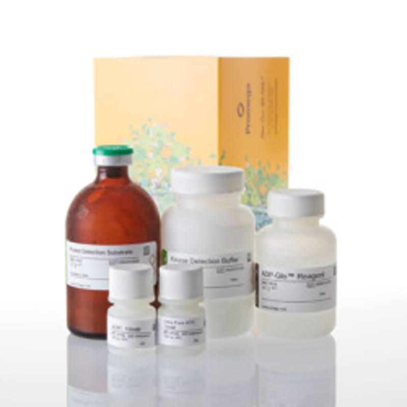 ADP-Glo(TM) Kinase Assay, 10,000 Assays