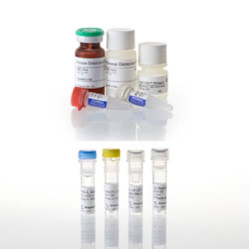 ADP-Glo(TM) Kinase Assay + FYN A Kinase Enzyme System