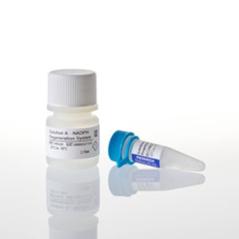 NADPH Regeneration System