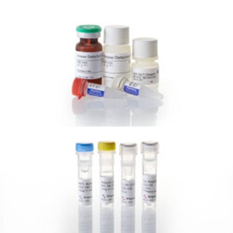 ADP-Glo(TM) Kinase Assay + MET Kinase Enzyme System