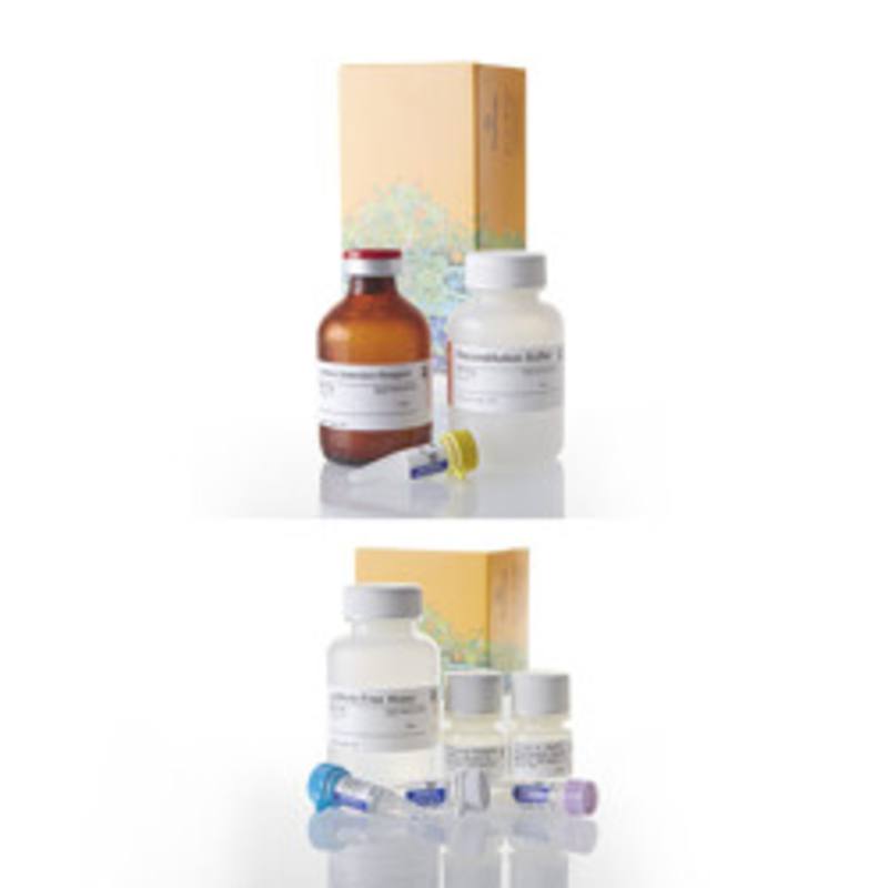 P450-Glo(TM) CYP2C9 Screening System