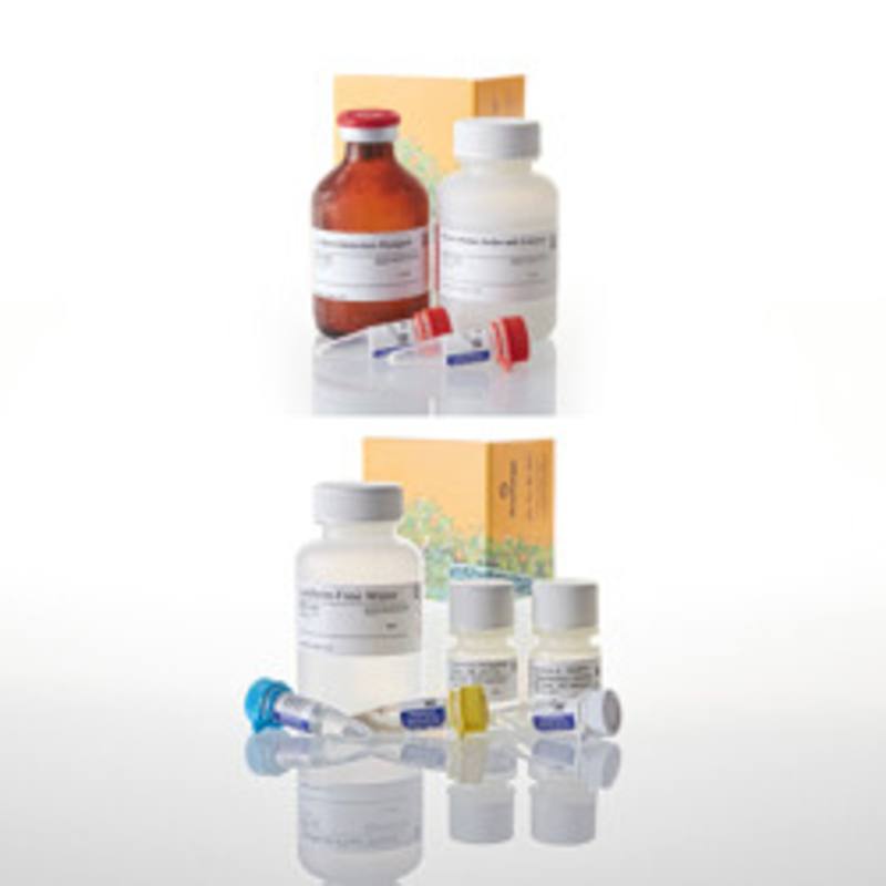 P450-Glo(TM) CYP2C19 Screening System