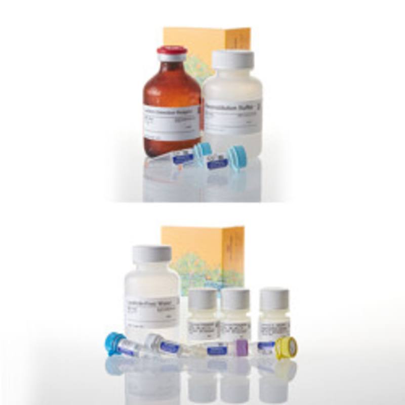 P450-Glo(TM) CYP3A4 Screening System with Luciferin-PPXE