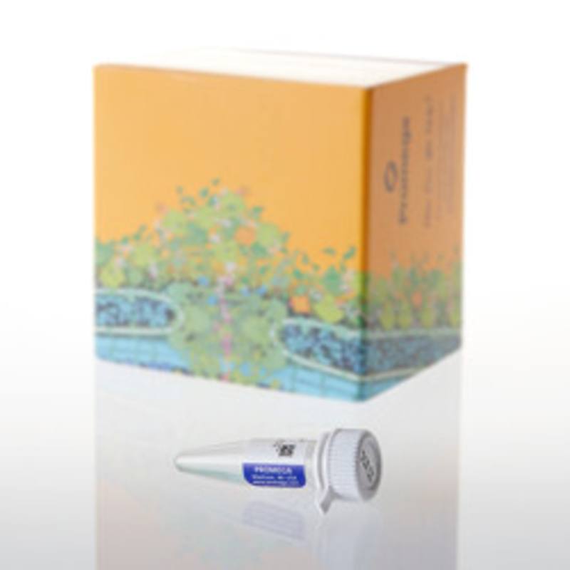 AccuMAP(TM) 10X Low pH Reaction Buffer, 1ml