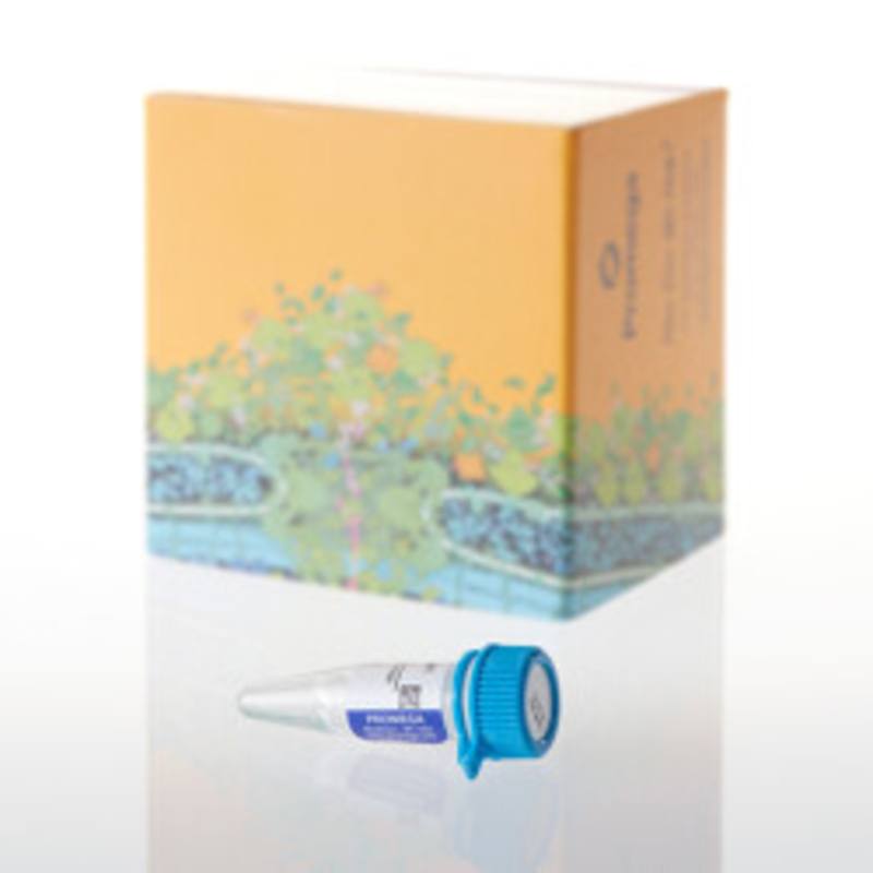 AccuMAP(TM) Low pH Resistant rLys-C Solution, 300ul